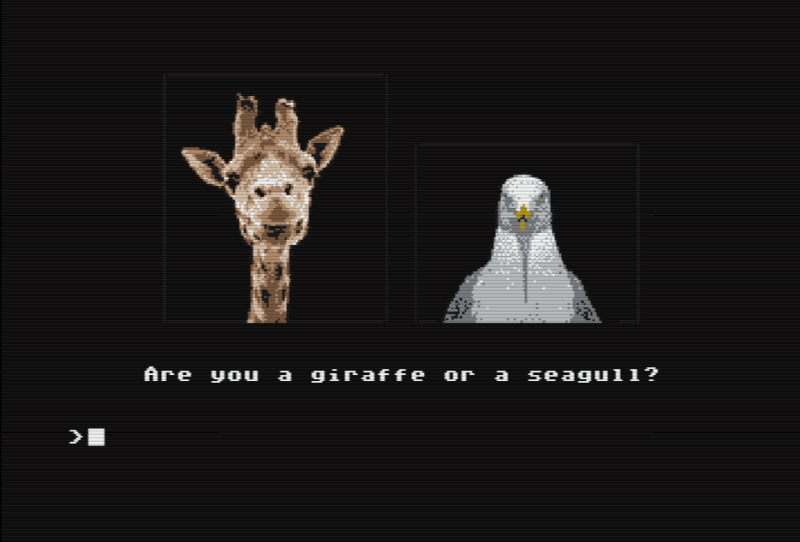 Important question: are you a giraffe or a seagull?